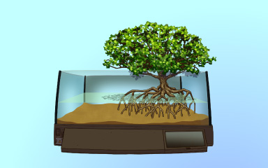 Fresh Start Badge - Quinn's Aquarium