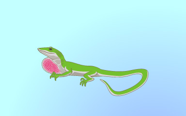 Little Lizard Badge - Quinn's Aquarium