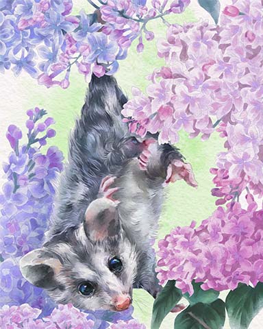 Tri-Peaks Solitaire HD Possum Animals with Blooms Badge