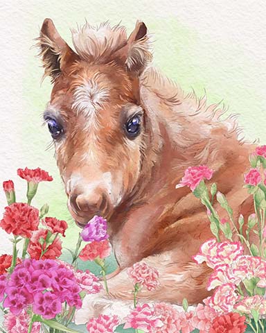 First Class Solitaire HD Foal Animals with Blooms Badge