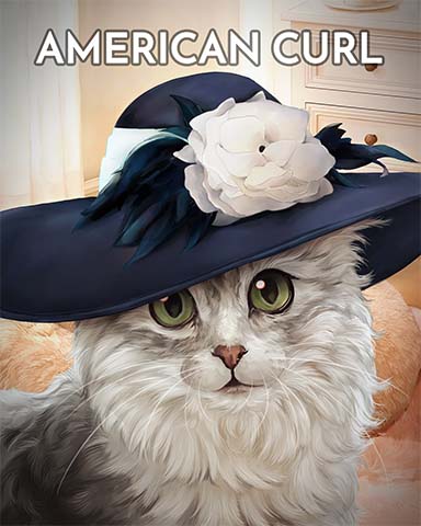 American Curl Cats In Hats Badge - First Class Solitaire HD