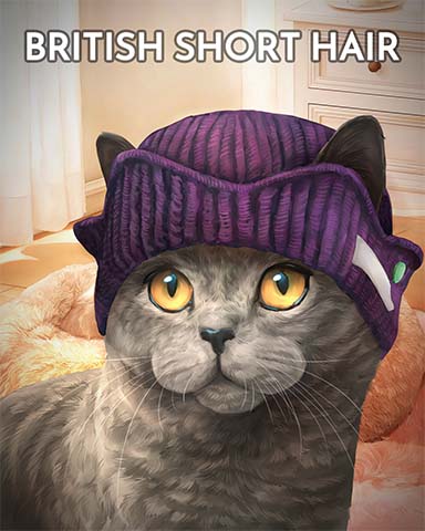 British Shorthair Cats In Hats Badge - Mahjong Garden HD