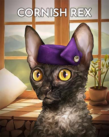 Cornish Rex Cats In Hats Badge - Canasta HD