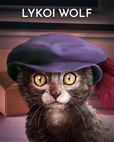 Lykoi Wolf Cats In Hats Badge - Word Whomp HD