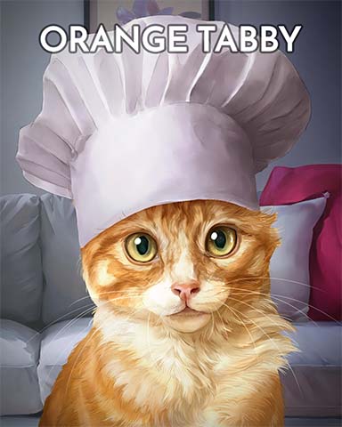 Orange Tabby Cats In Hats Badge - First Class Solitaire HD
