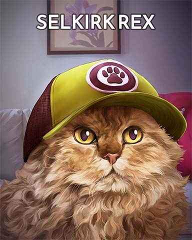 Selkirk Rex Cats In Hats Badge - Word Search Daily HD
