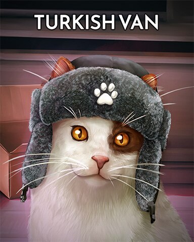 Turkish Van Cats In Hats Badge - Pogo Slots