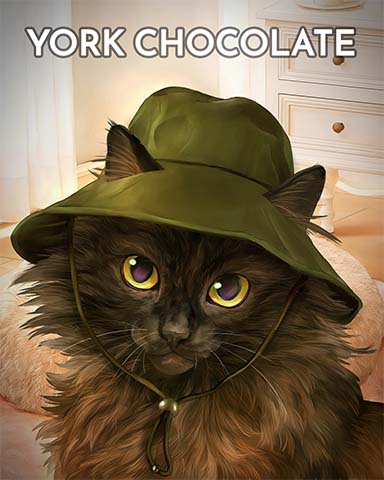 York Chocolate Cats In Hats Badge - Word Whomp HD
