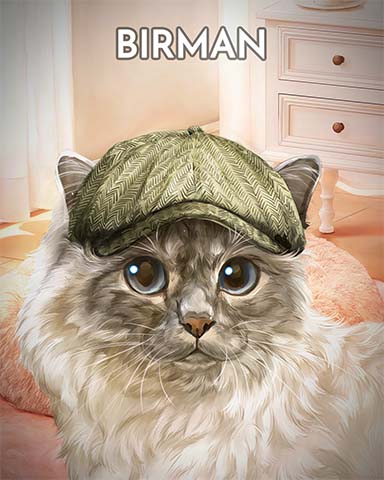 Birman Cats In Hats Badge - Dice City Roller HD