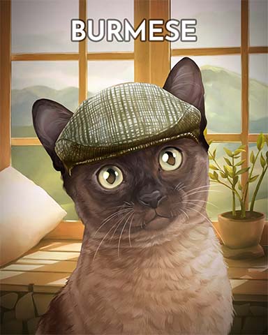 Burmese Cats In Hats Badge - Jungle Gin HD
