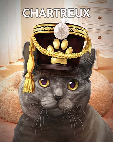 Chartreux Cats In Hats Badge - Spades HD