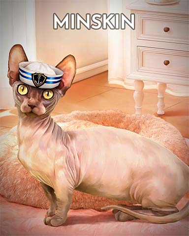 Minskin Cats In Hats Badge - Canasta HD