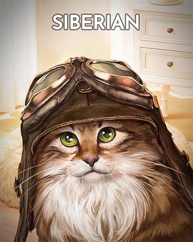 Siberian Cats In Hats Badge - Jungle Gin HD