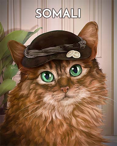 Somali Cats In Hats Badge - Mahjong Safari HD