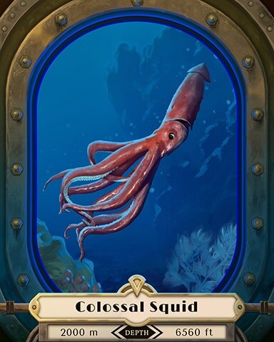Colossal Squid Deep Sea Creatures Badge - Rainy Day Spider Solitaire HD