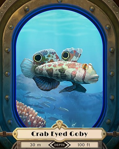 Crab Eyed Goby Deep Sea Creatures Badge - First Class Solitaire HD