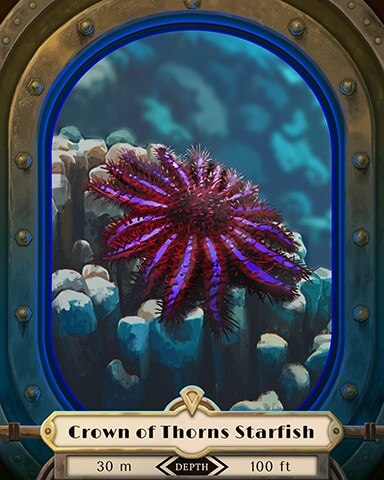 Crown of Thorns Starfish Deep Sea Creatures Badge - Word Whomp HD