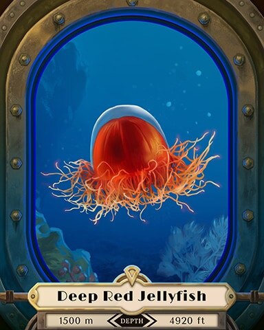 Deep Red Jellyfish Deep Sea Creatures Badge - Canasta HD