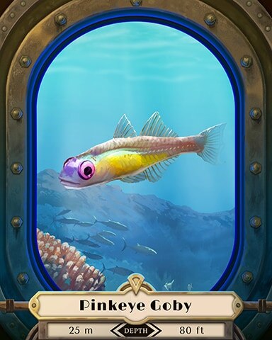 Pinkeye Goby Deep Sea Creatures Badge - Tri-Peaks Solitaire HD