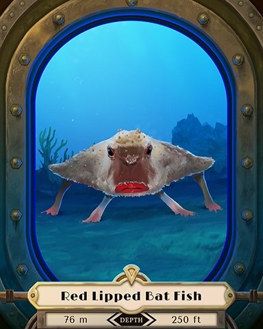 Red Lipped Bat Fish Deep Sea Creatures Badge - World Class Solitaire HD