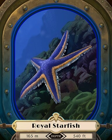 Royal Starfish Deep Sea Creatures Badge - Tri-Peaks Solitaire HD