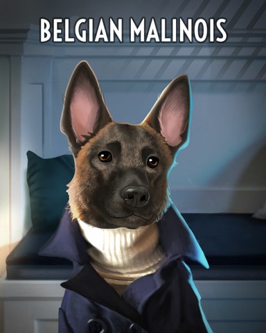 Trivial Pursuit Online Belgian Malinois Dogs in Disguise Badge