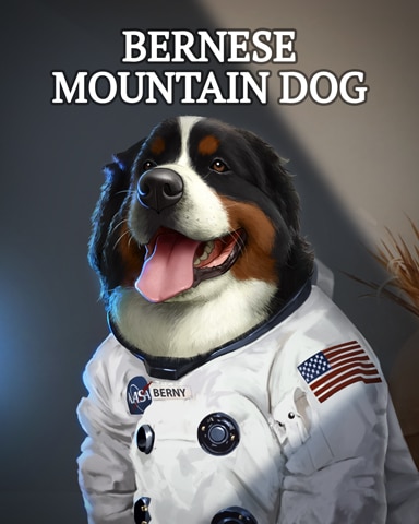 First Class Solitaire HD Bernese Mountain Dog Dogs in Disguise Badge