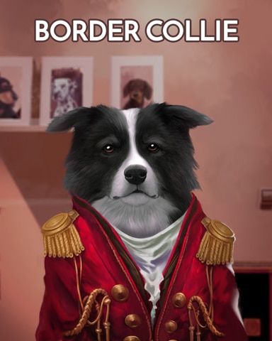 Spades HD Border Collie Dogs in Disguise Badge