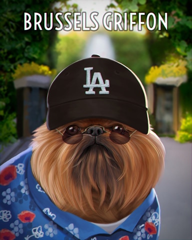 Canasta HD Brussels Griffon Dogs in Disguise Badge
