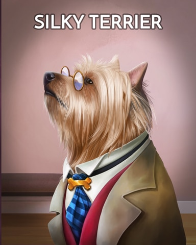Jungle Gin HD Silky Terrier Dogs in Disguise Badge
