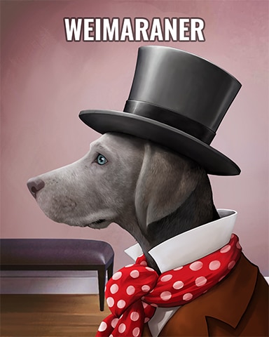 First Class Solitaire HD Weimaraner Dogs in Disguise Badge