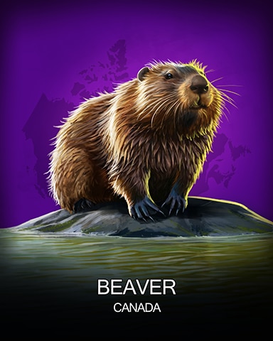 Quinn's Aquarium Beaver National Animals Badge