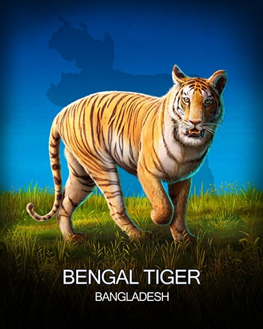 Tri-Peaks Solitaire HD Bengal Tiger National Animals Badge