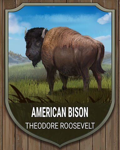 World Class Solitaire HD Theodore Roosevelt American Bison National Parks Badge