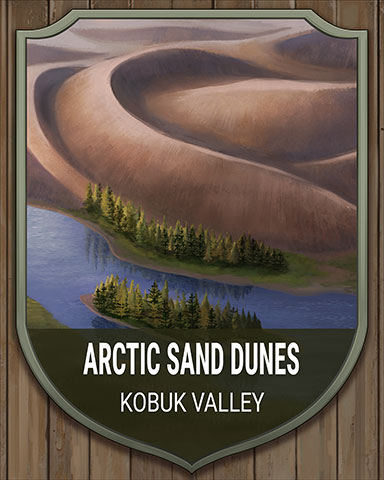 Jungle Gin HD Kobuk Valley Arctic Sand Dunes National Parks Badge