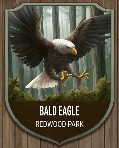 First Class Solitaire HD Redwood Park Bald Eagle National Parks Badge