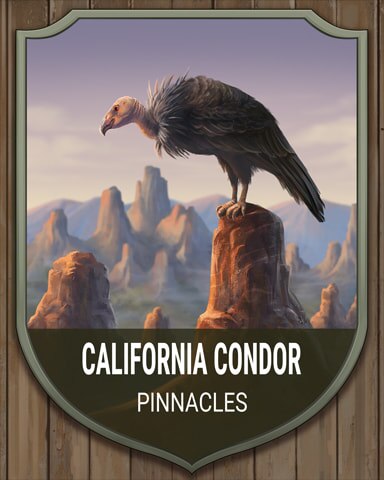 Word Whomp HD Pinnacles California Condor National Parks Badge