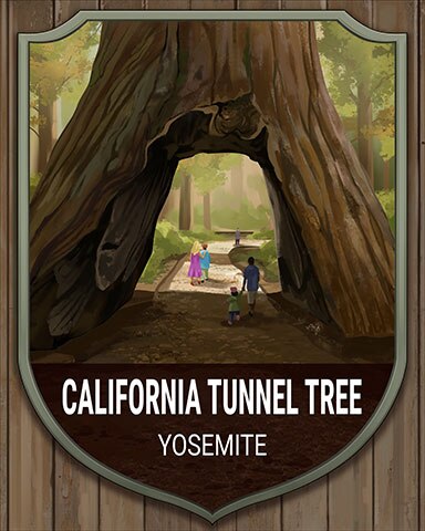 Word Whomp HD Yosemite California Tunnel Tree National Parks Badge