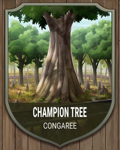 First Class Solitaire HD Congaree Champion Tree National Parks Badge