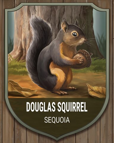 Word Whomp HD Sequoia Douglas Squirrel National Parks Badge