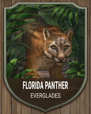 World Class Solitaire HD Everglades Florida Panther National Parks Badge