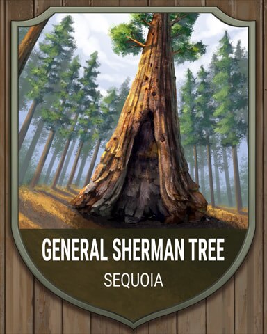 Aces Up! HD Sequoia General Sherman Tree National Parks Badge