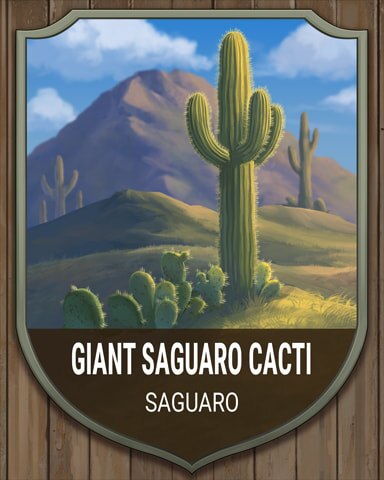 Canasta HD Saguaro Giant Cacti National Parks Badge