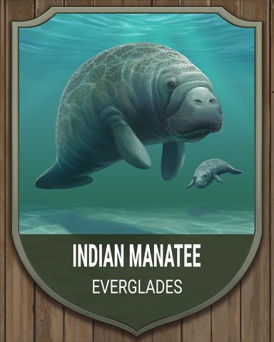 Mahjong Safari HD Everglades Indian Manatee National Parks Badge