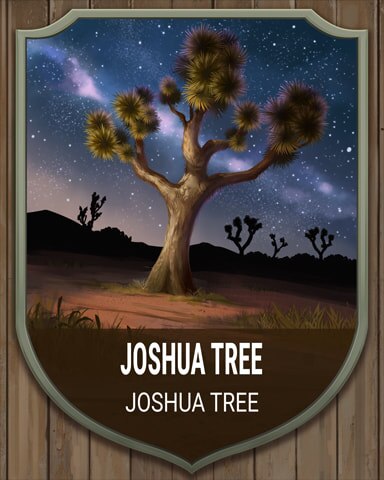 Canasta HD Joshua Tree National Parks Badge