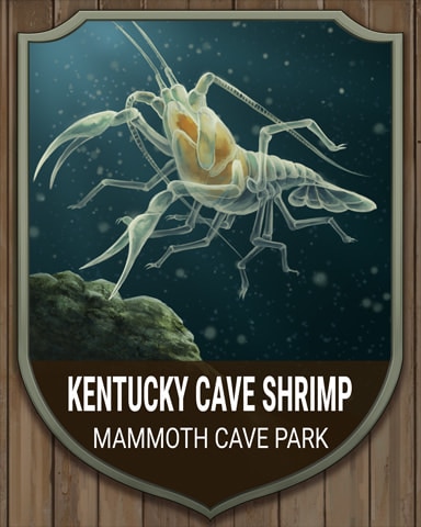 World Class Solitaire HD Mammoth Cave Kentucky Cave Shrimp National Parks Badge