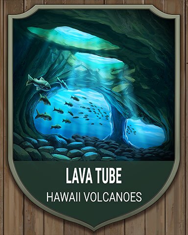 First Class Solitaire HD Hawaii Volcanoes Lava Tube National Parks Badge