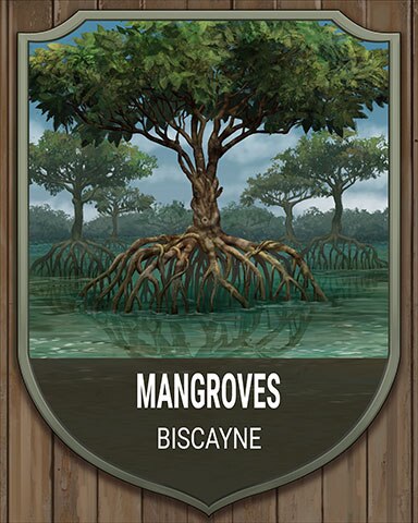 First Class Solitaire HD Biscayne Mangroves National Parks Badge