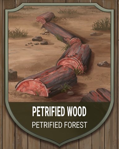 Solitaire Home Story Petrified Forest Wood National Parks Badge