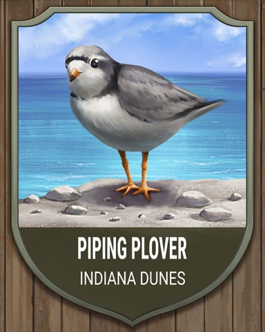 Jungle Gin HD Indiana Dunes Piping Plover National Parks Badge